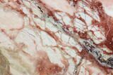 Polished, Brecciated Pink Opal Slab - Western Australia #96297-1